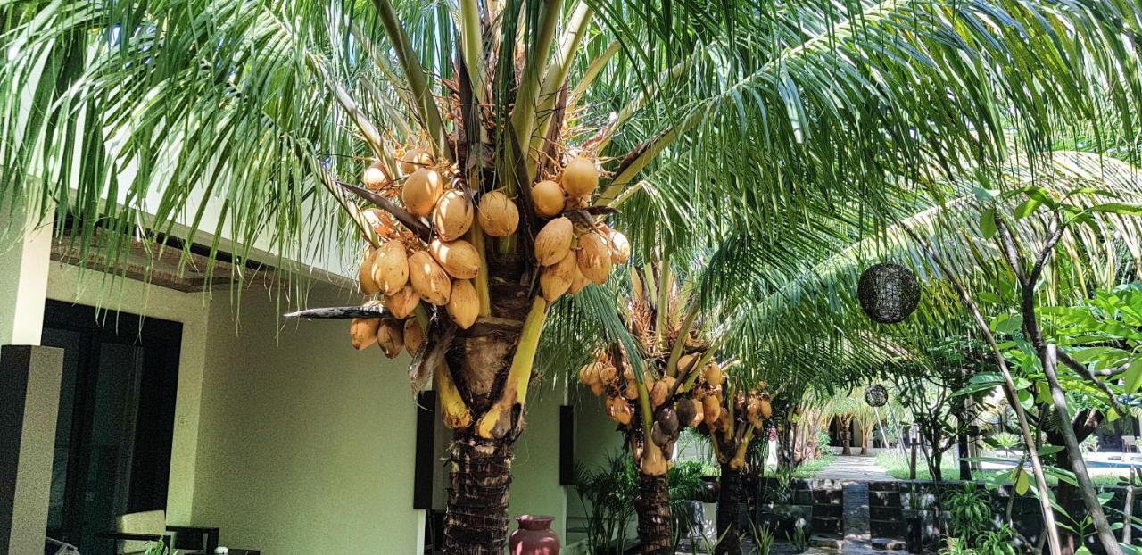 Kaluku Gili Resort Gili Air Ngoại thất bức ảnh